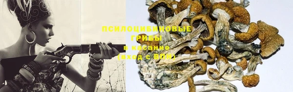 прущие крисы Алексин