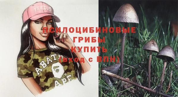 кокаин премиум Алексеевка