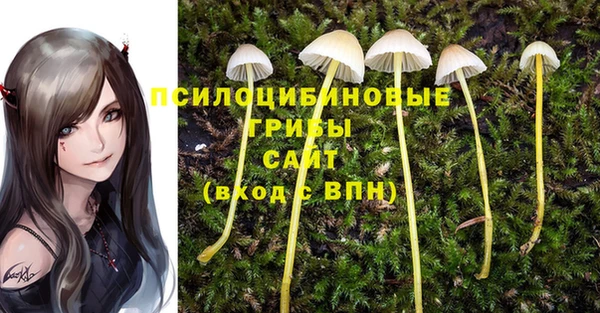 прущие крисы Алексин