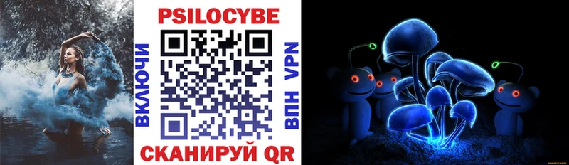 Псилоцибиновые грибы Cubensis  где продают наркотики  Нытва 